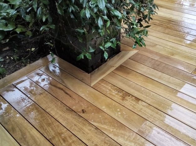 Vitex deck Remuera