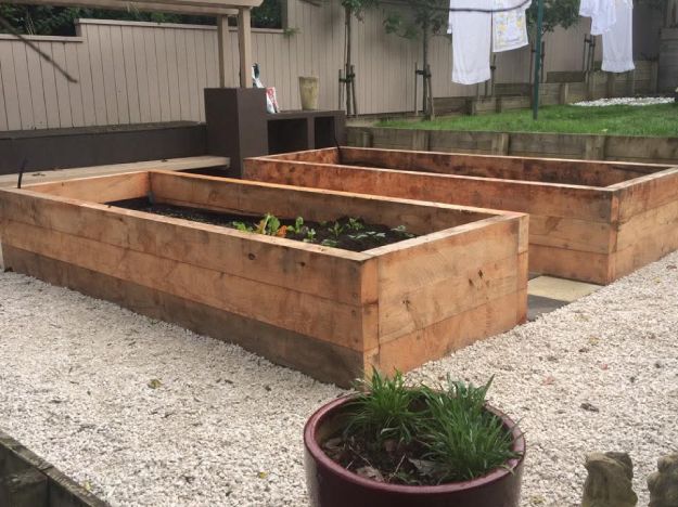 Wooden Planter Boxes