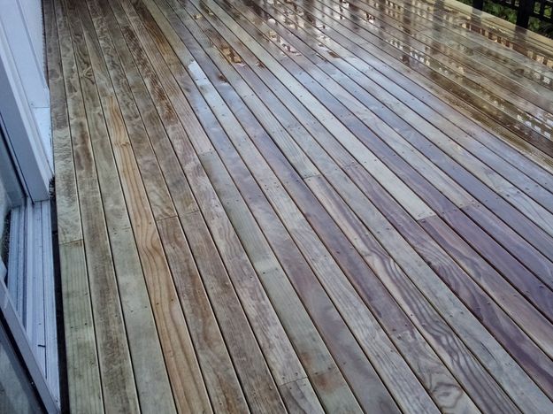 Pine deck, Mt Eden